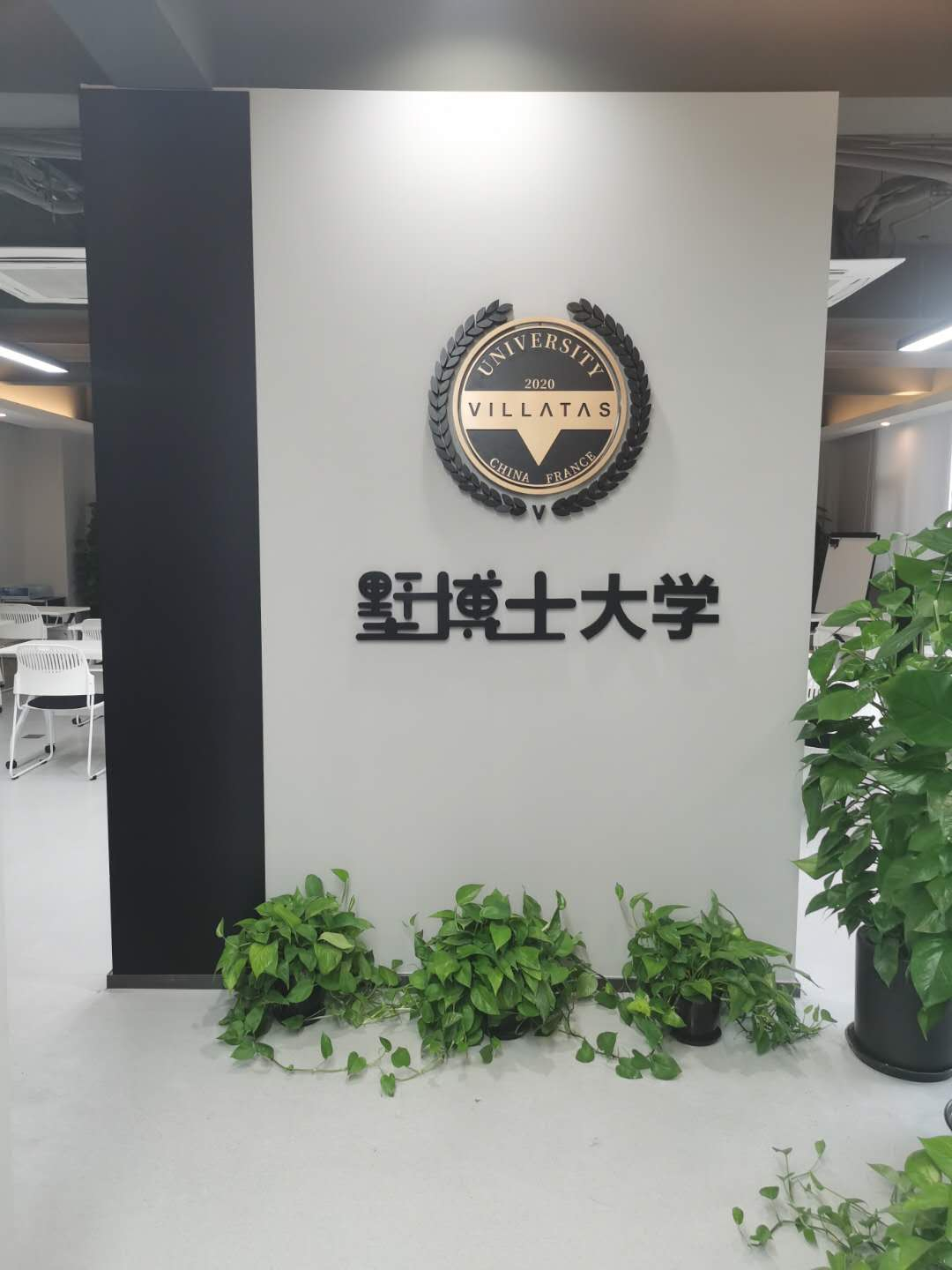 1597127611383756.jpg 3.jpg